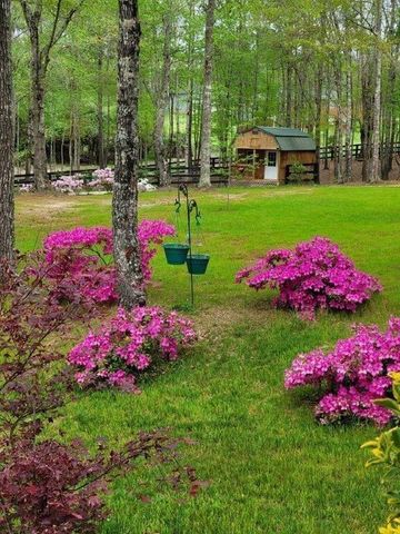 5419 Tyree Road, Winston, GA 30187