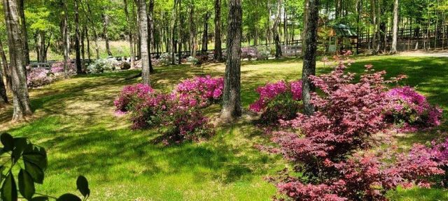 5419 Tyree Road, Winston, GA 30187