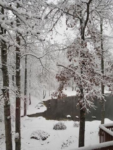 5419 Tyree Road, Winston, GA 30187