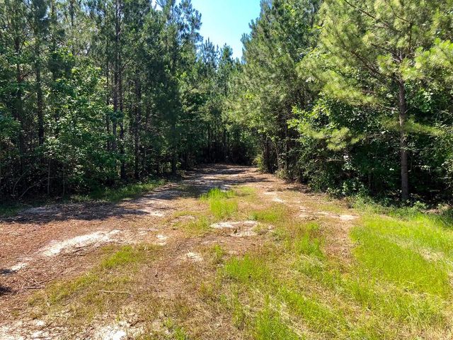 3 Eugene Walker Road, Huntington, TX 75980