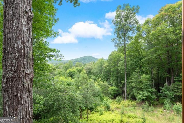 98 Aries Lane, Blue Ridge, GA 30513