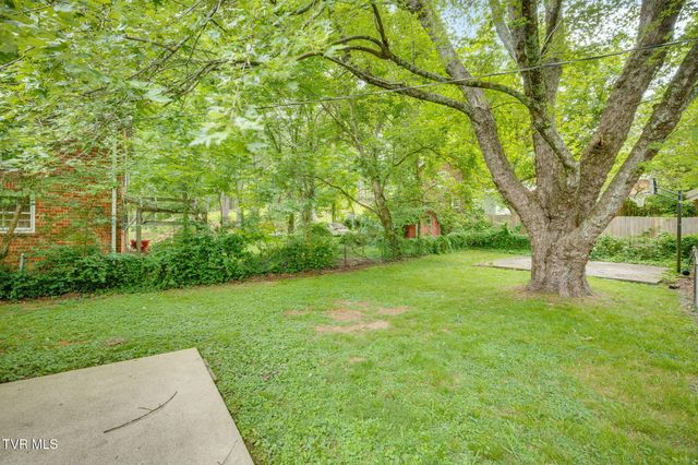 203 Boyd Street, Johnson City, TN 37604