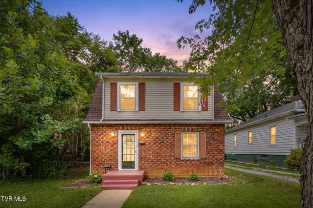 203 Boyd Street, Johnson City, TN 37604