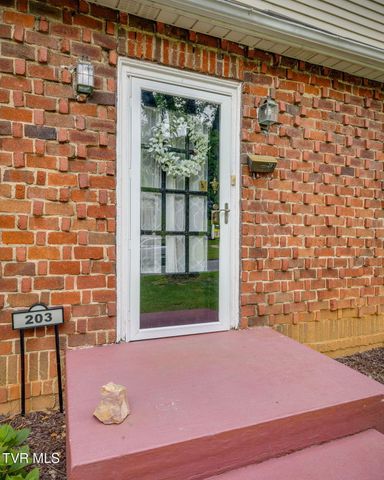 203 Boyd Street, Johnson City, TN 37604