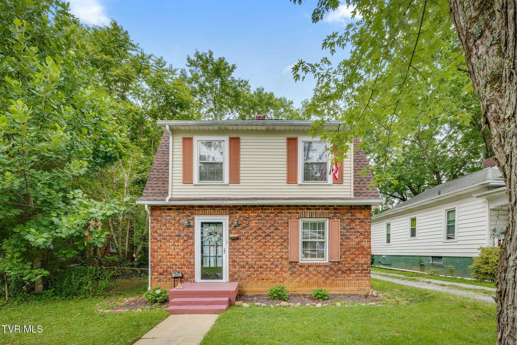 203 Boyd Street, Johnson City, TN 37604