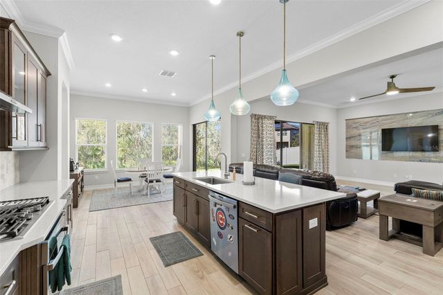 3839 SAN VITO DRIVE, Wesley Chapel, FL 33543