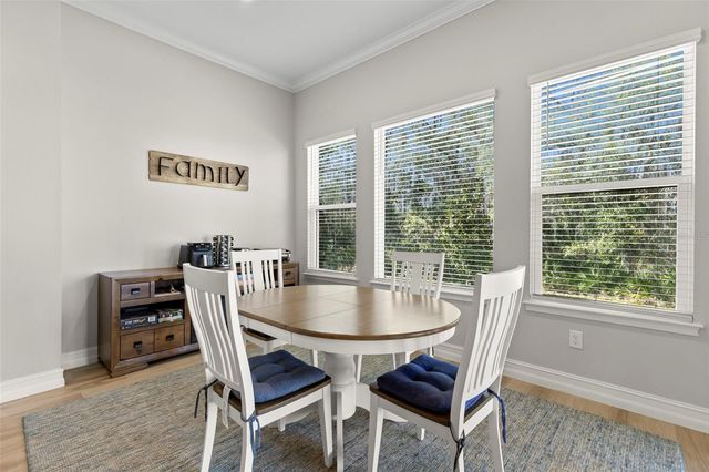 3839 SAN VITO DRIVE, Wesley Chapel, FL 33543