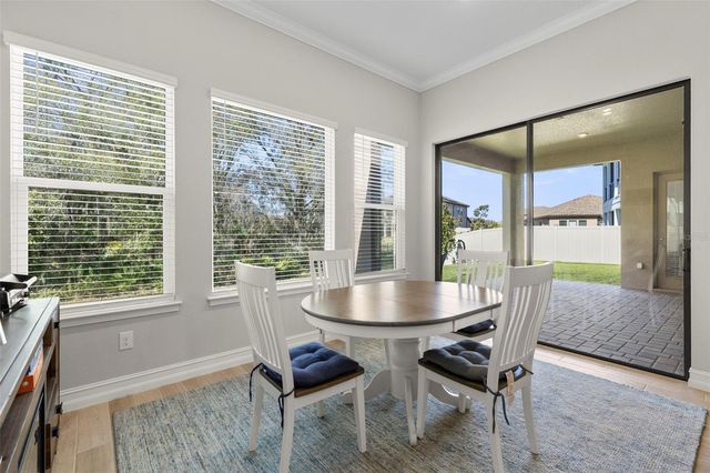 3839 SAN VITO DRIVE, Wesley Chapel, FL 33543