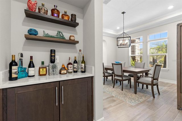 3839 SAN VITO DRIVE, Wesley Chapel, FL 33543