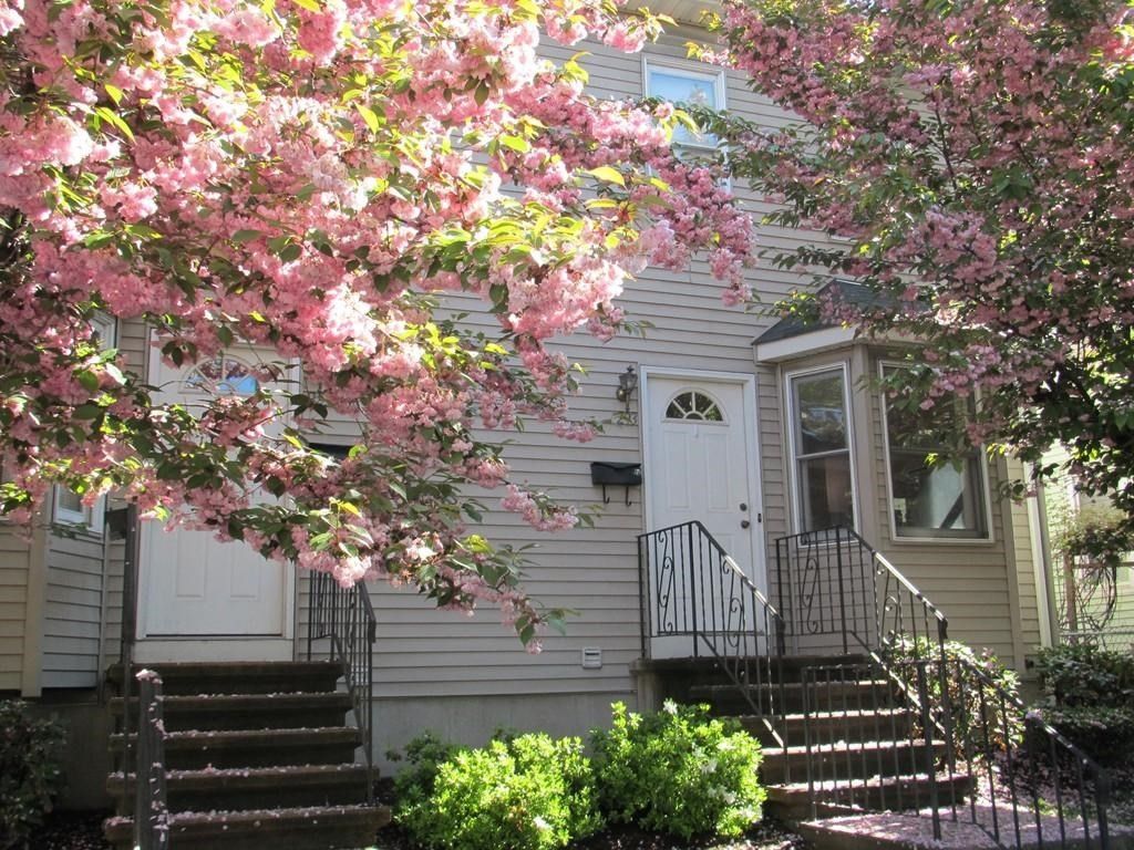 299 River Street 299, Waltham, MA 02453