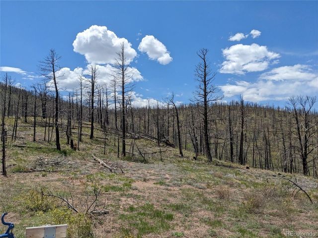415 Mulligan Ln, Fort Garland, CO 81133