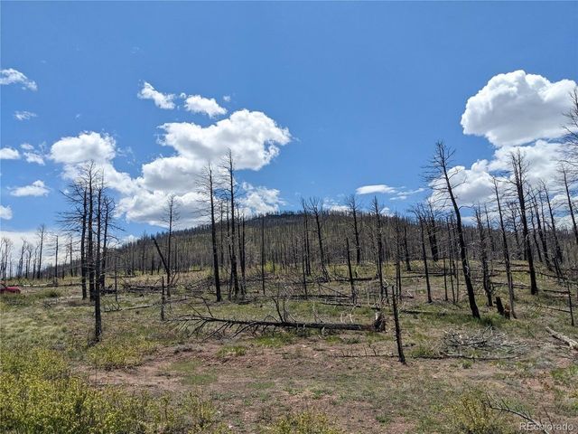 415 Mulligan Ln, Fort Garland, CO 81133
