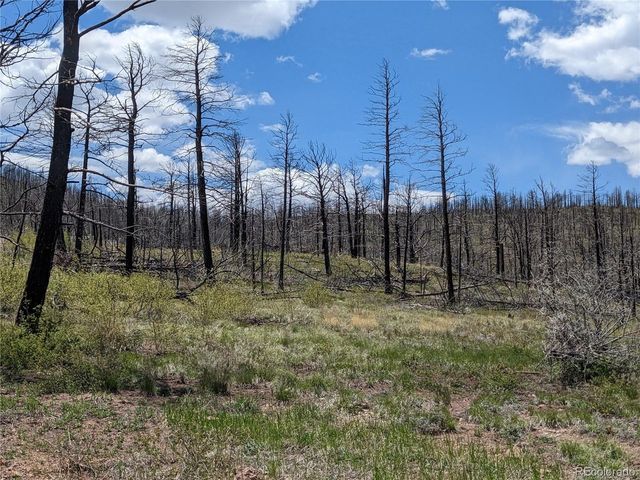 415 Mulligan Ln, Fort Garland, CO 81133