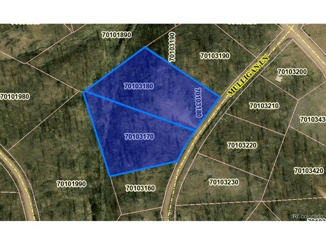 415 Mulligan Ln, Fort Garland, CO 81133