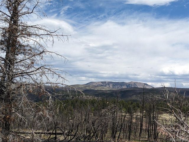 415 Mulligan Ln, Fort Garland, CO 81133
