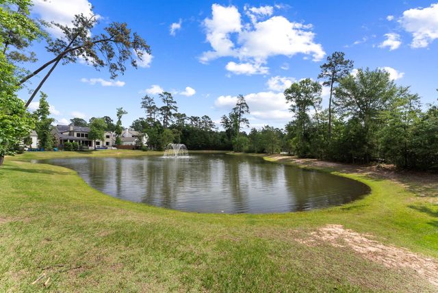 82 Simon Lake Lane, The Woodlands, TX 77381