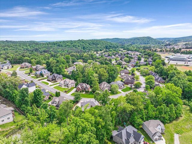 10597 Brownspring Drive 115, Apison, TN 37302