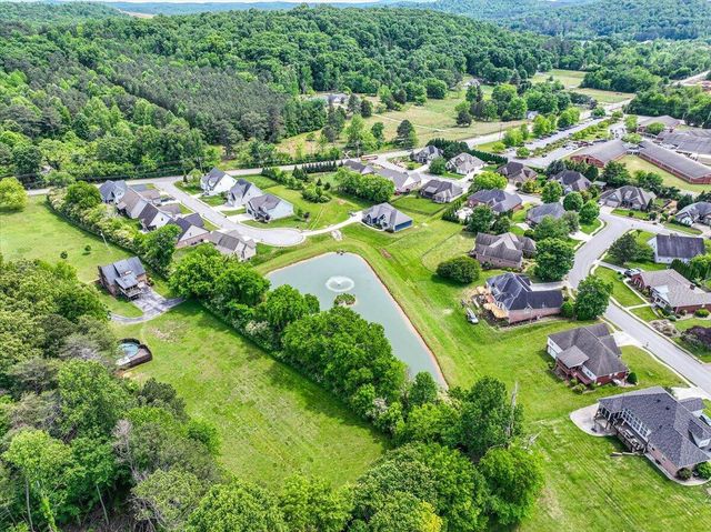 10597 Brownspring Drive 115, Apison, TN 37302