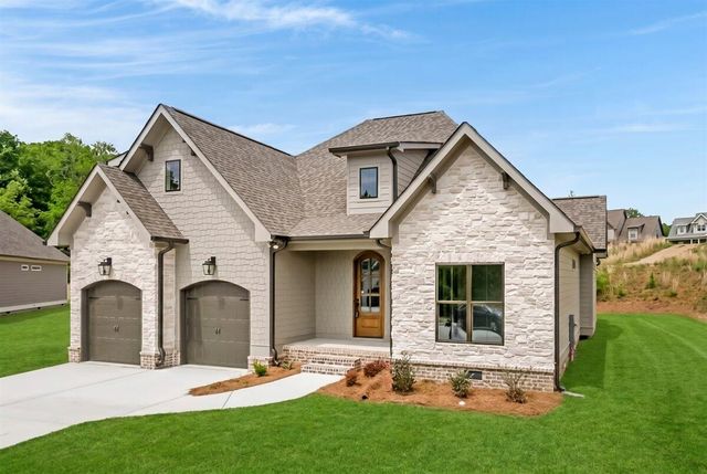 10597 Brownspring Drive 115, Apison, TN 37302