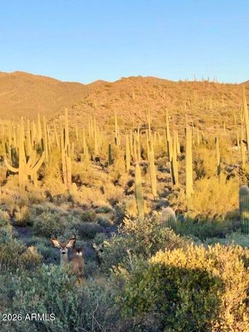 41811 N 72ND -- Street -, Cave Creek, AZ 85331