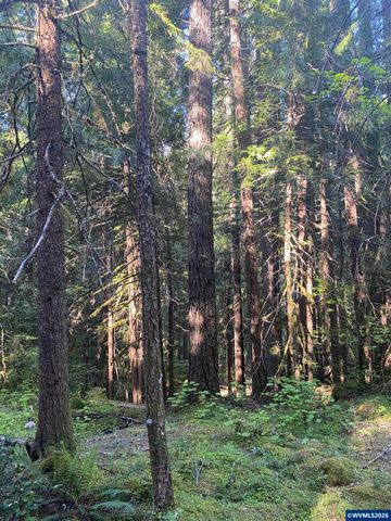 18 Marion Creek Rd, Idanha, OR 97350