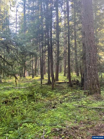 18 Marion Creek Rd, Idanha, OR 97350