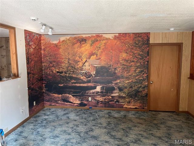 4412 N Virginia Mines Road, St Clair, MO 63077