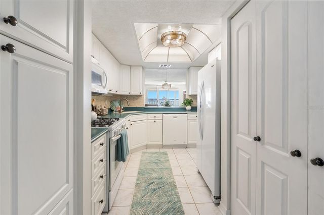 6060 SHORE BOULEVARD S 906, Gulfport, FL 33707