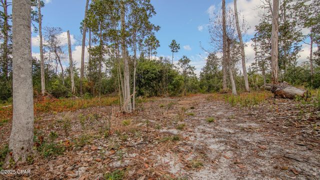 12299 Nonawood Road, Fountain, FL 32438