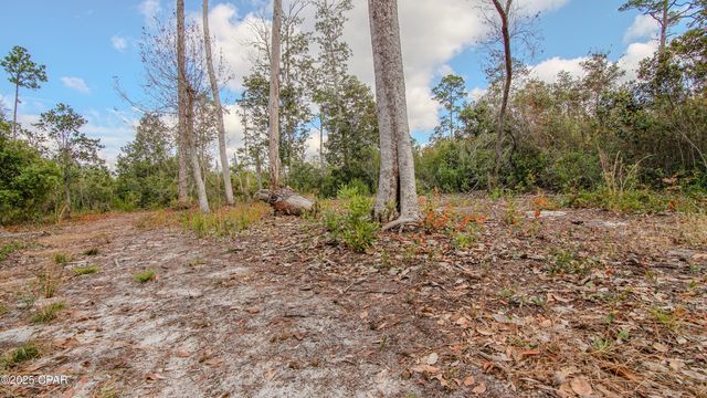 12299 Nonawood Road, Fountain, FL 32438