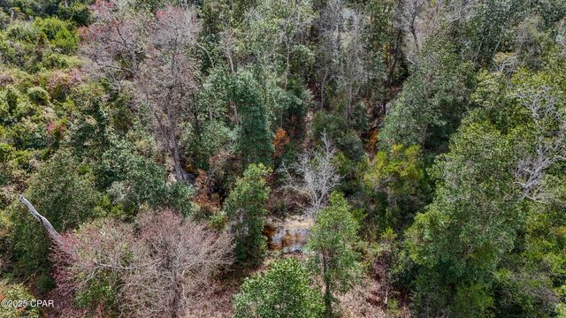 12299 Nonawood Road, Fountain, FL 32438