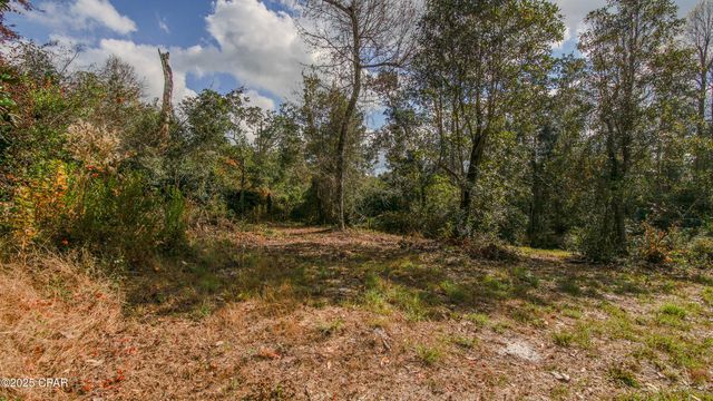 12299 Nonawood Road, Fountain, FL 32438