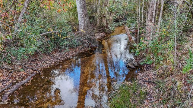 12299 Nonawood Road, Fountain, FL 32438