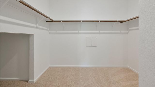 1010 Blue Stone Drive, Beasley, TX 77417