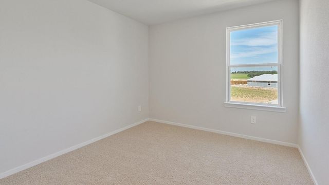 1010 Blue Stone Drive, Beasley, TX 77417