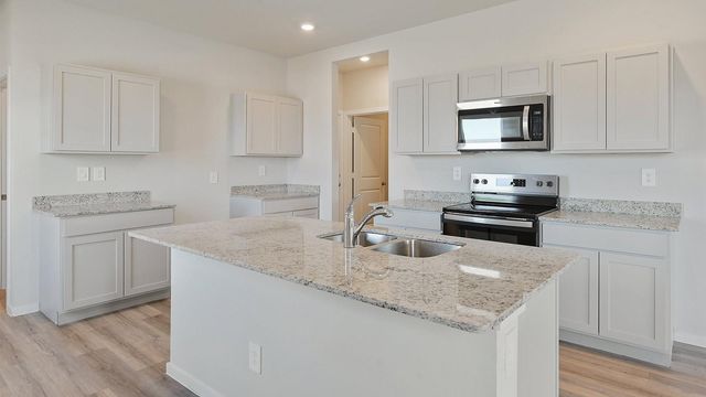 1010 Blue Stone Drive, Beasley, TX 77417