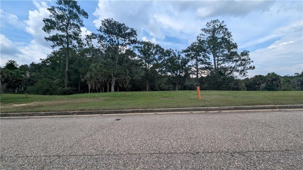 0 Canary Island Drive, Mobile, AL 36695 — photo 3