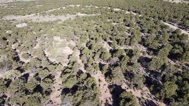 Lot 1666 Slegers Circle, Fort Garland, CO 81133