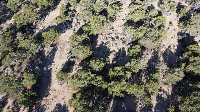 Lot 1666 Slegers Circle, Fort Garland, CO 81133