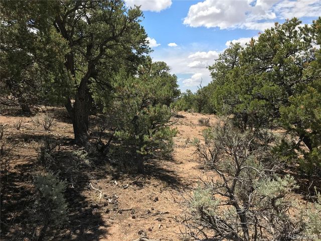 Lot 1666 Slegers Circle, Fort Garland, CO 81133