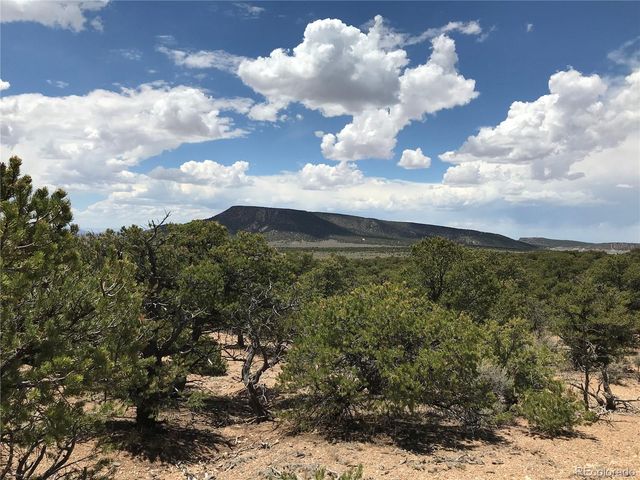 Lot 1666 Slegers Circle, Fort Garland, CO 81133