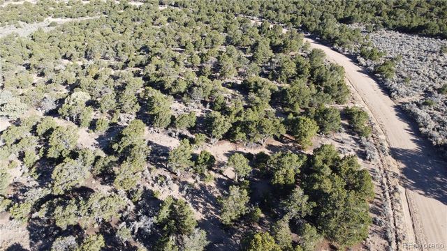 Lot 1666 Slegers Circle, Fort Garland, CO 81133