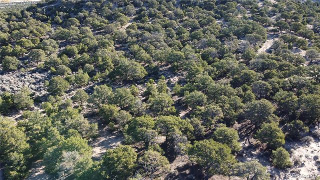 Lot 1666 Slegers Circle, Fort Garland, CO 81133