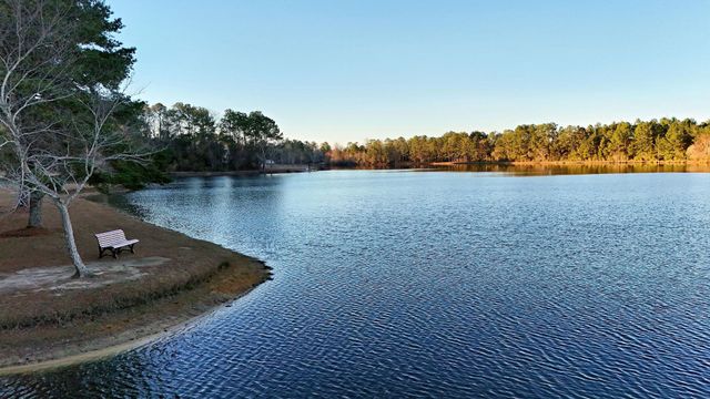 76 Riverwind Trail, Other Georgia, GA 31765