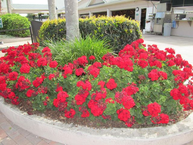 6713 STONE RIVER RD 203, Bradenton, FL 34203