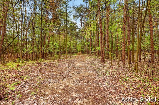 11888 Long Lake Drive Nw, Sparta Twp, MI 49345