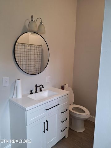 216 N Chamberlain Ave, Rockwood, TN 37854