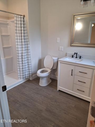 216 N Chamberlain Ave, Rockwood, TN 37854