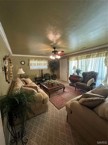 504 Virginia St, Sikeston, MO 63801