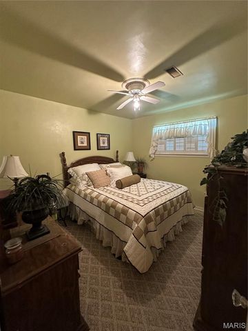 504 Virginia St, Sikeston, MO 63801